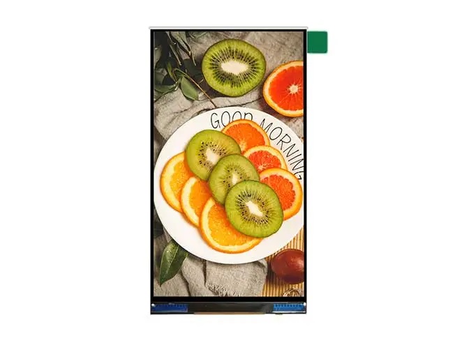 4.5 Inch LCD Screen: Small Size, Big Impact