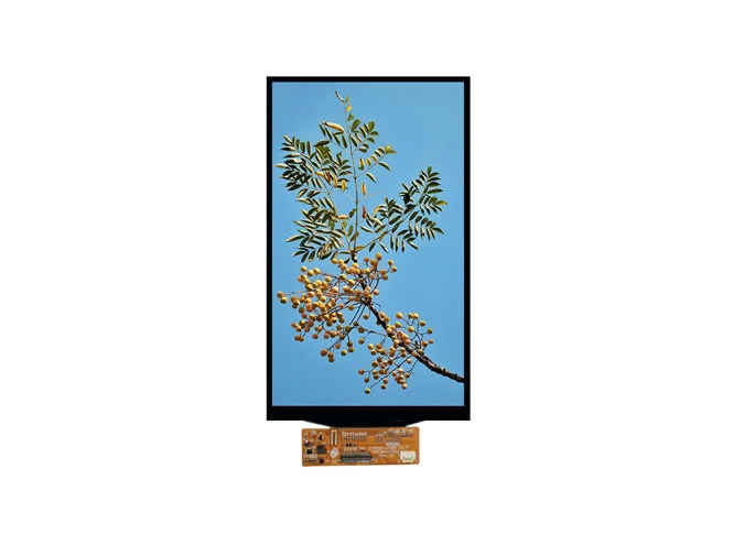 7 ips lcd display wholesale