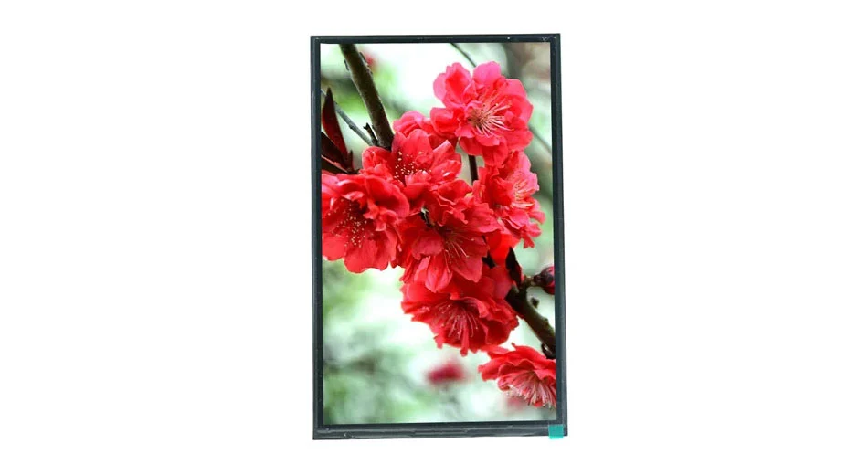 Z101024 10.1 Inch IPS LCD Display 800*1280 31PIN MIPI Interface
