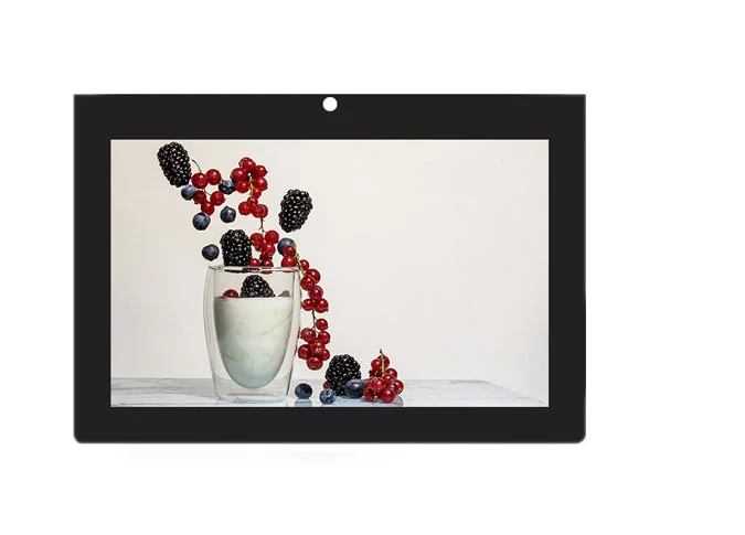 raspberry capacitive touch screen