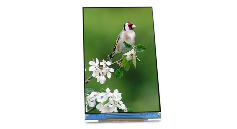 Z40045 4 Inch IPS LCD 480*800 Display Screen JD9161Z IC Full View MIPI Interface