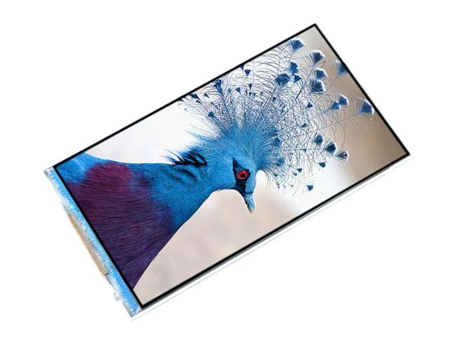 5 tft display manufacturer