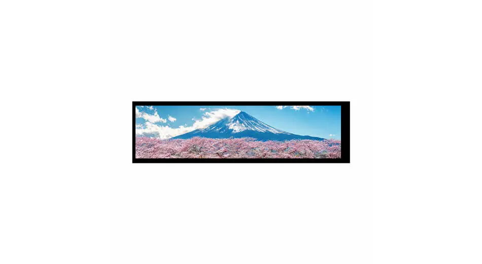Z88001-ZC1 Ultra Wide Bar 8.8 inch Touch Screen with Multi-point Capacitive Panel 480x1920 TFT LCD Module