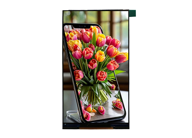 5.5 INCH Display