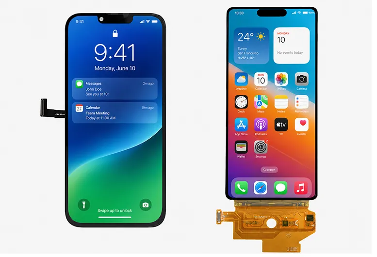 OLED Module